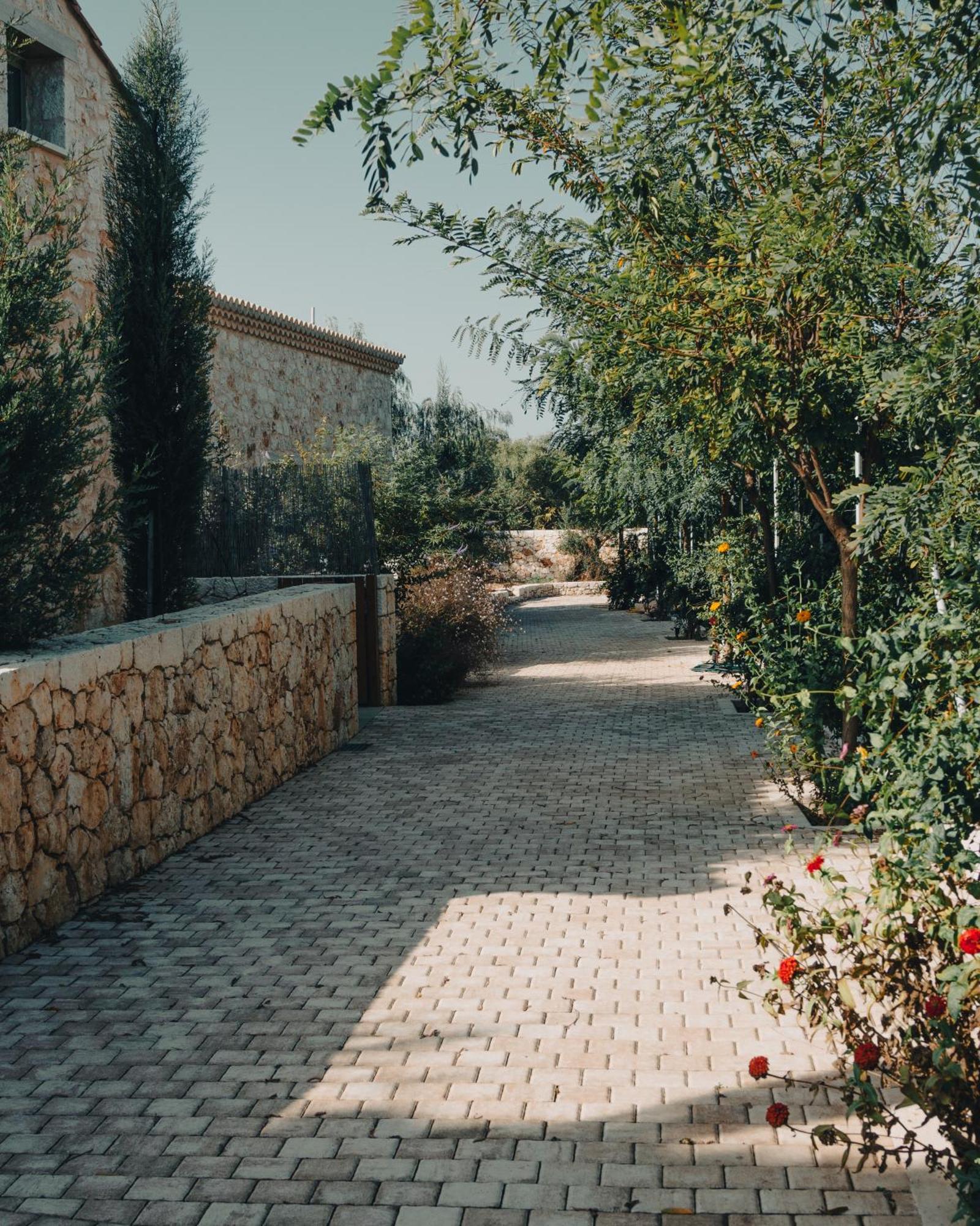 Tsoukaládhes Papadria Villas - Modern Luxury Villas Near Kathisma Beach מראה חיצוני תמונה